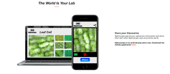 Screen Shot 2018-06-05 at 11.27.41 AM.png